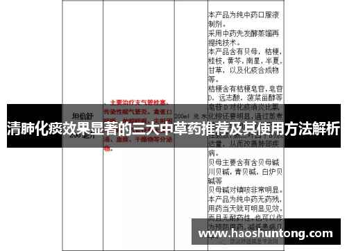 清肺化痰效果显著的三大中草药推荐及其使用方法解析