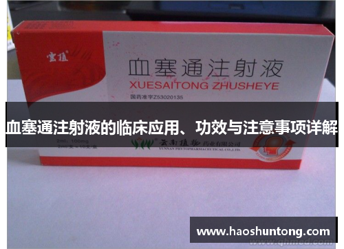血塞通注射液的临床应用、功效与注意事项详解