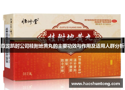 尊龙凯时公司桂附地黄丸的主要功效与作用及适用人群分析