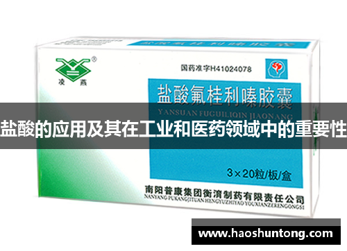 盐酸的应用及其在工业和医药领域中的重要性